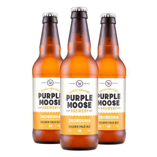 Snowdonia Ale (500ml bottles)