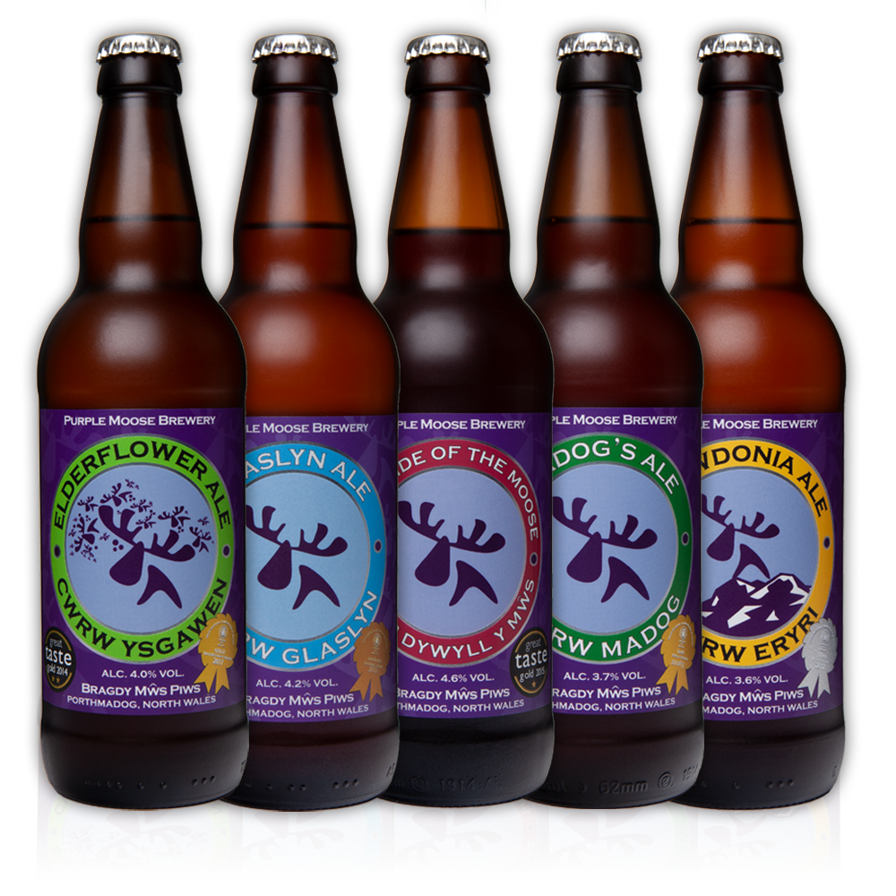 Purple Moose Brewery on X: Over 2,000 miles in one year! Please support  our Brewery Shop Manager, Llinos, who is raising money for @ParkinsonsUK /  X