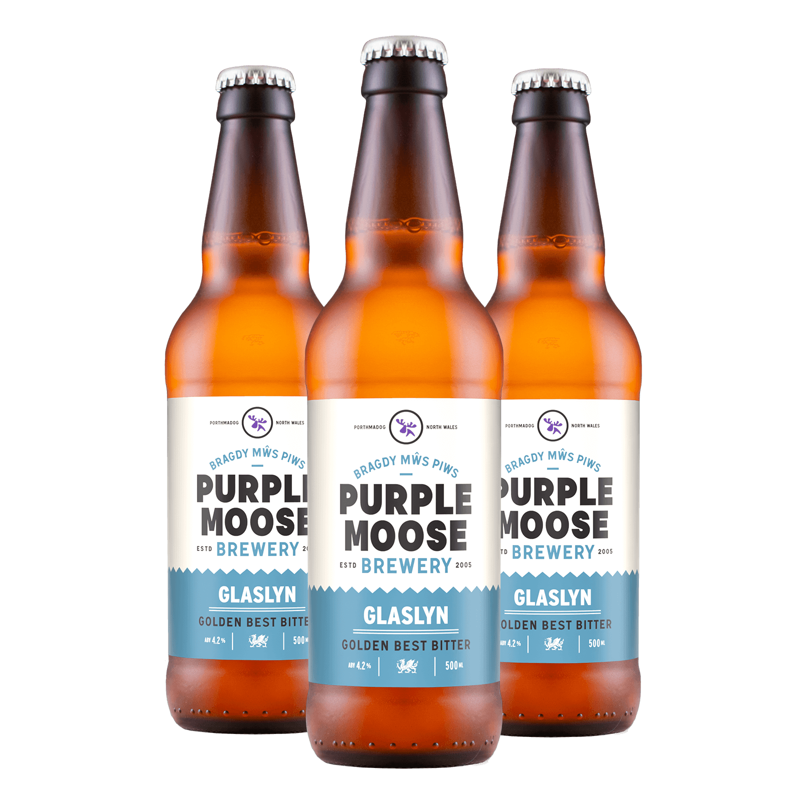 Glaslyn Ale (500ml bottles)