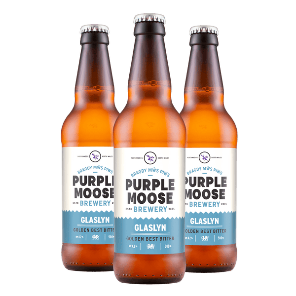 Glaslyn Ale (500ml bottles)